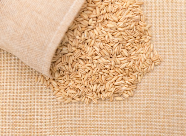 OAT peptid 燕麦多肽